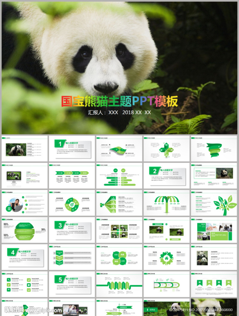 國寶大熊貓吃竹子動物保護(hù)ppt