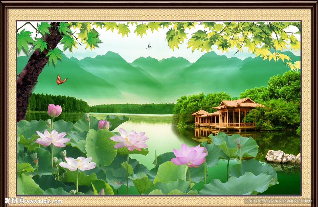 荷花风景图片