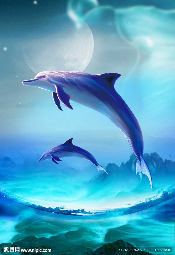 蓝色大海梦幻海豚