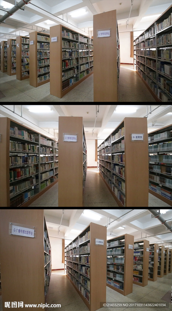 图书馆书籍分类实拍视频素材