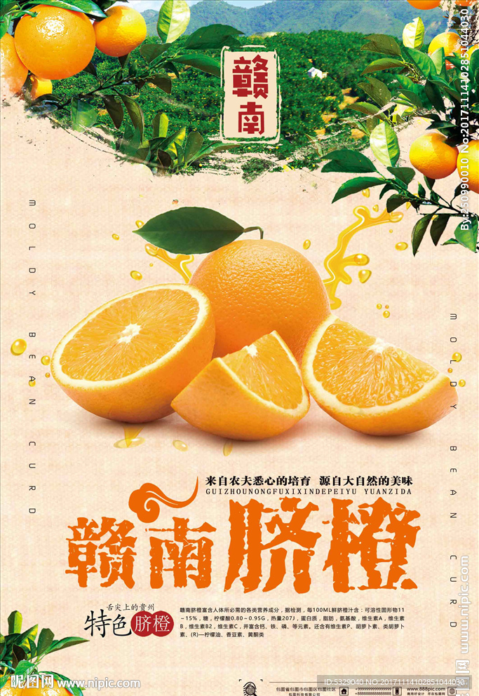 简约赣南脐橙促销宣传海报