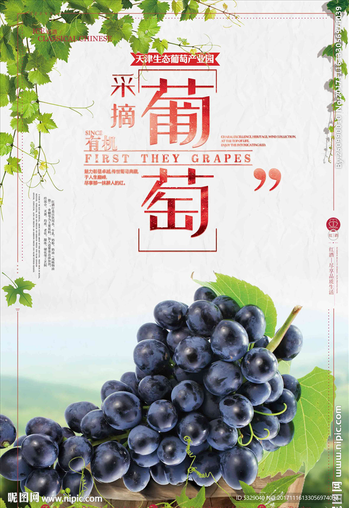 新鲜采摘葡萄水果促销海报 创意