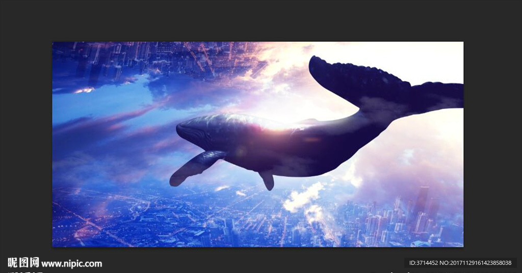 鯨魚