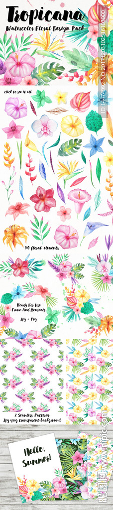 手绘水彩植物花朵
