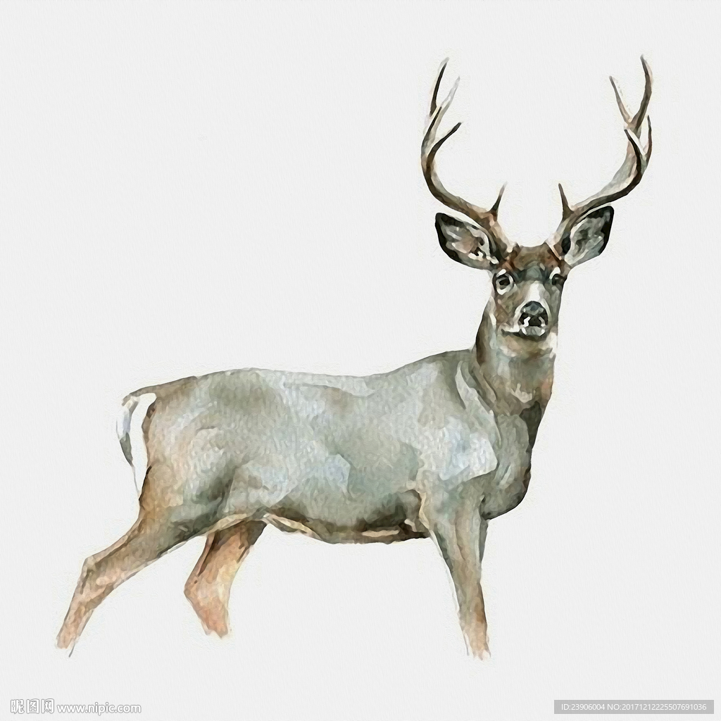 现代北欧简约手绘动物欧式装饰画