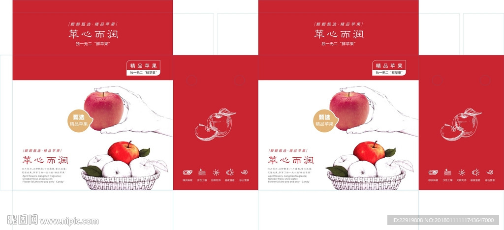蘋果包裝