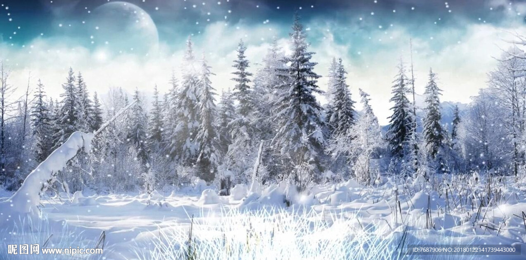 冬天雪地雪景飄雪森林