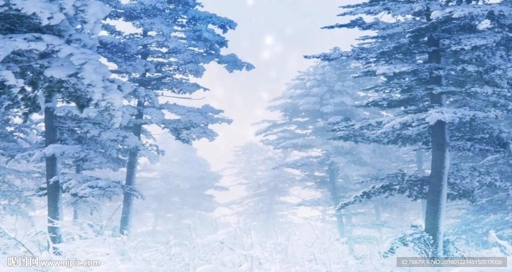 林海雪原