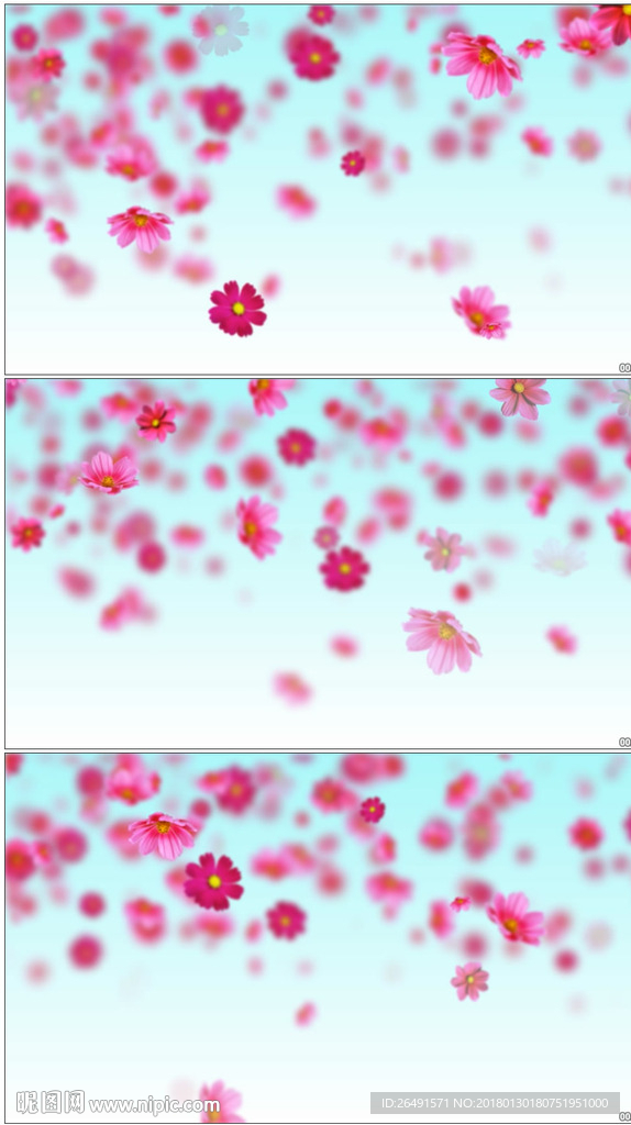 唯美浪漫婚禮花朵飄落背景視頻