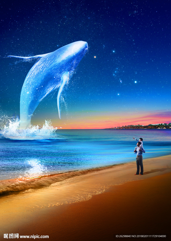 白鲸海洋元素背景地产广告