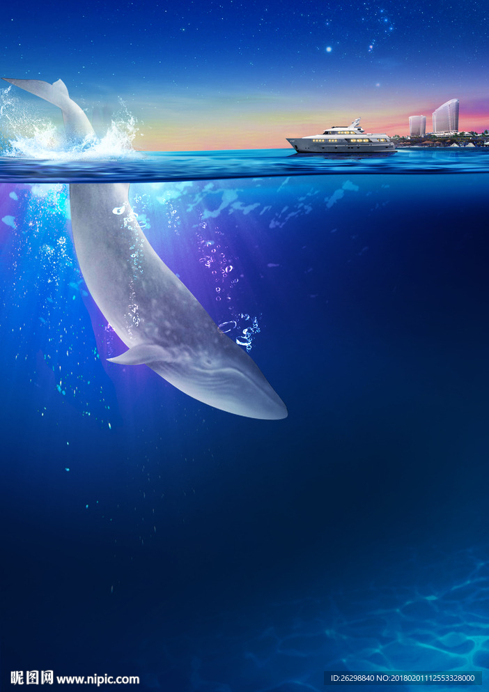 海洋元素背景图白鲸地产广告