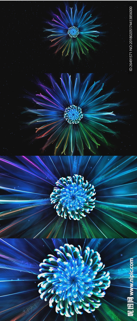 4K夢幻唯美彩色花朵開放視頻