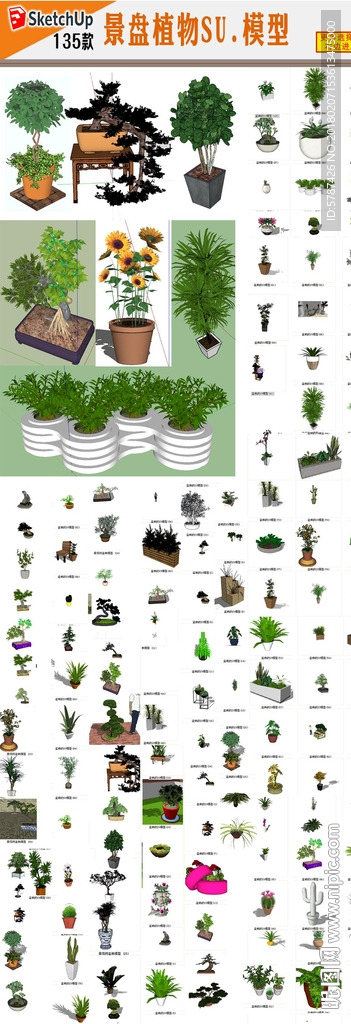 植物SU模型
