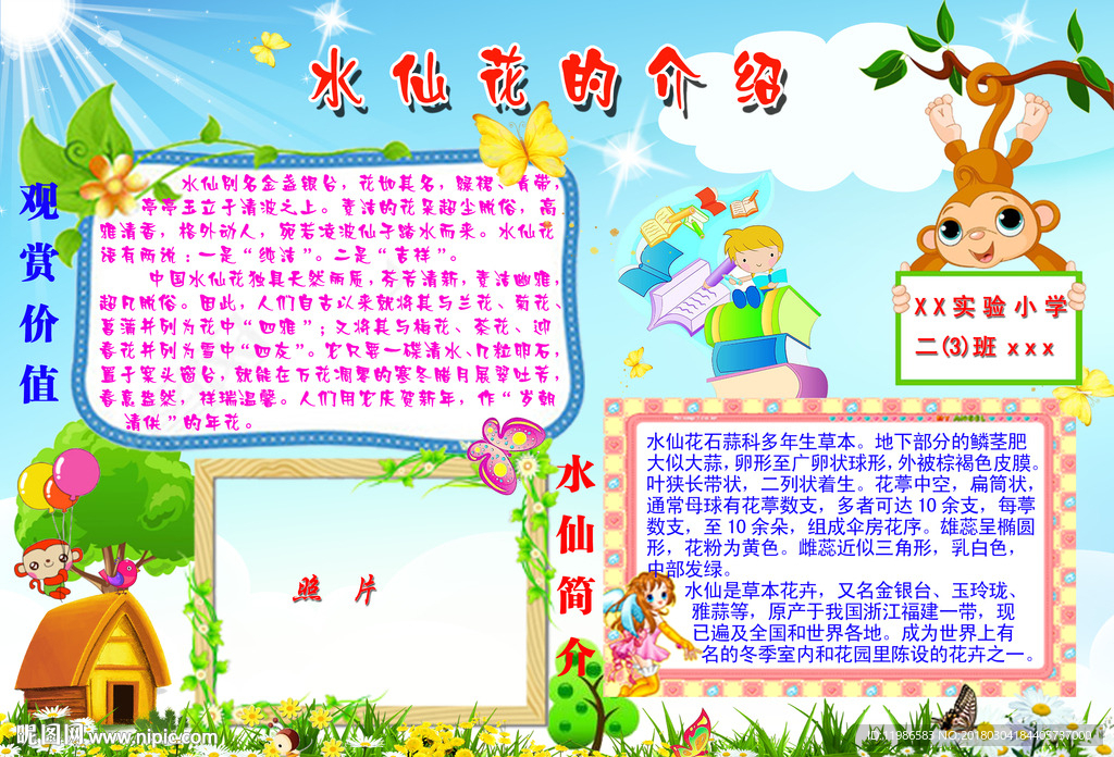水仙花小报图片