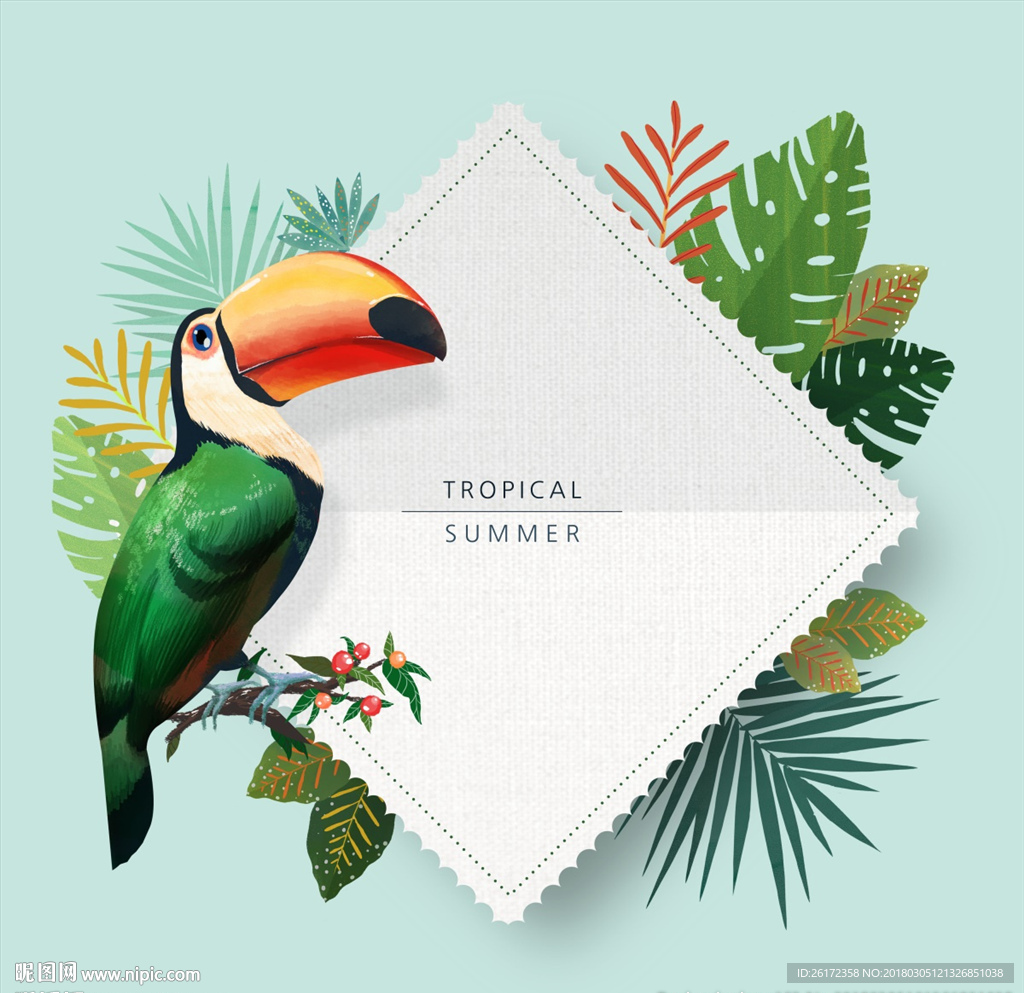 热带植物大嘴鸟背景卡片
