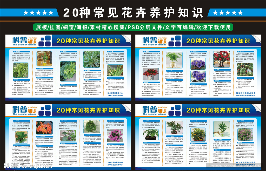 常見花卉養(yǎng)護知識