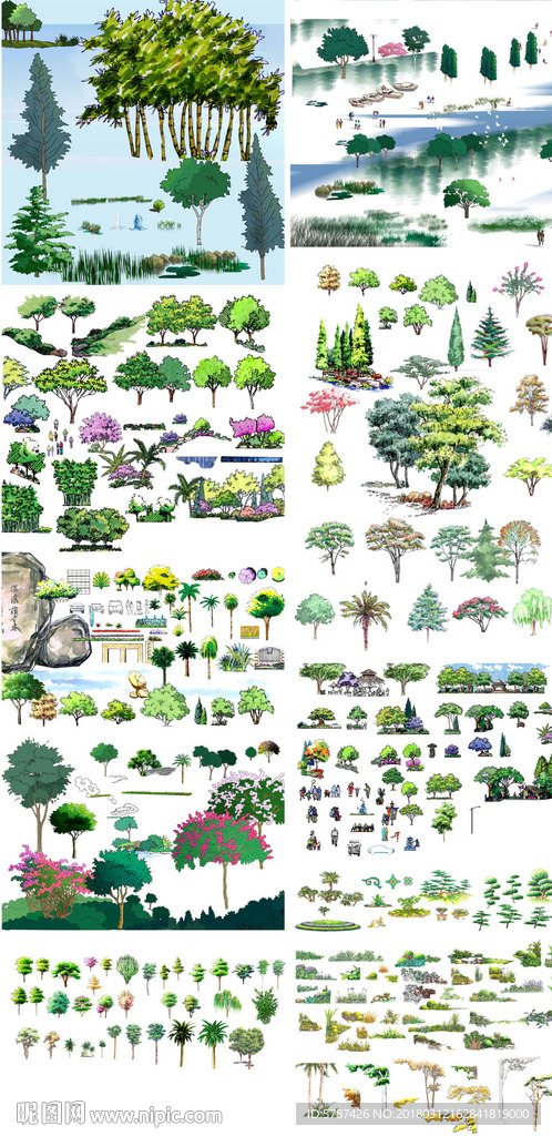 园林植物立面彩图