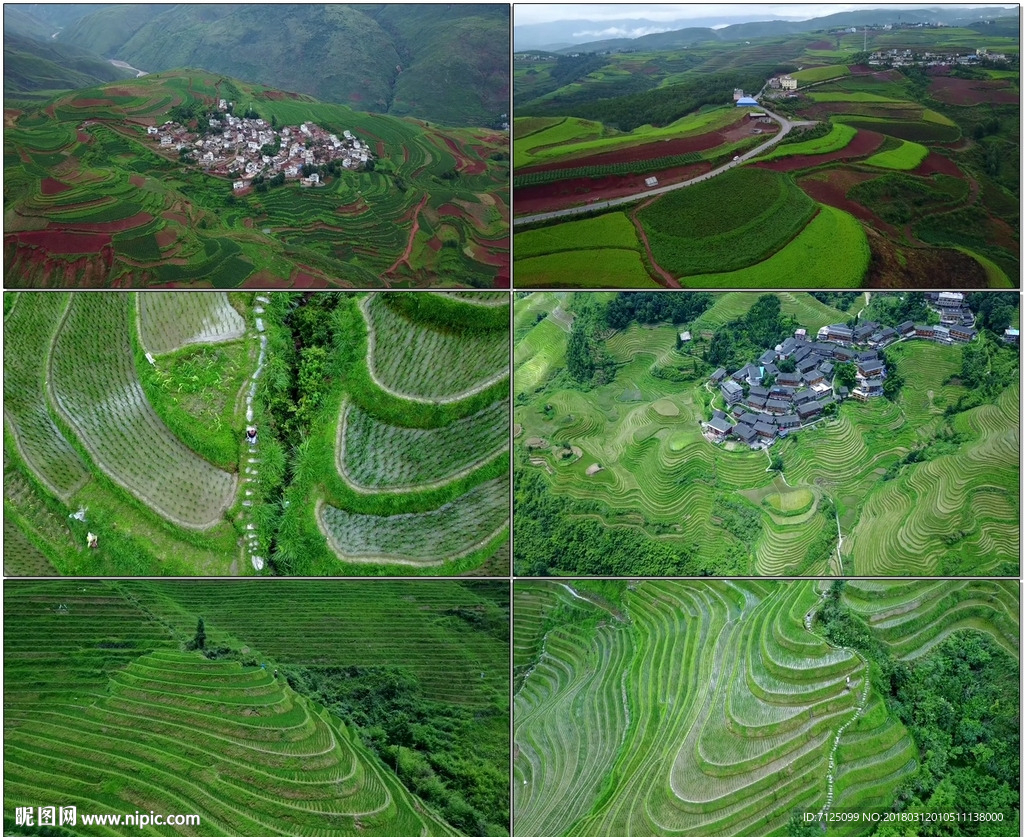 航拍美麗梯田