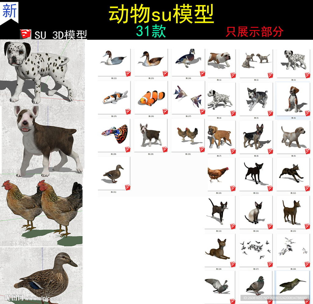 動物模型