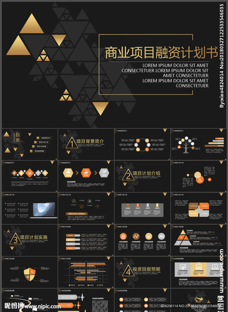 商業(yè)項(xiàng)目融資計(jì)劃書(shū)PPT