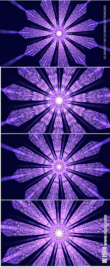 紫色神秘花朵星空唯美視頻背景