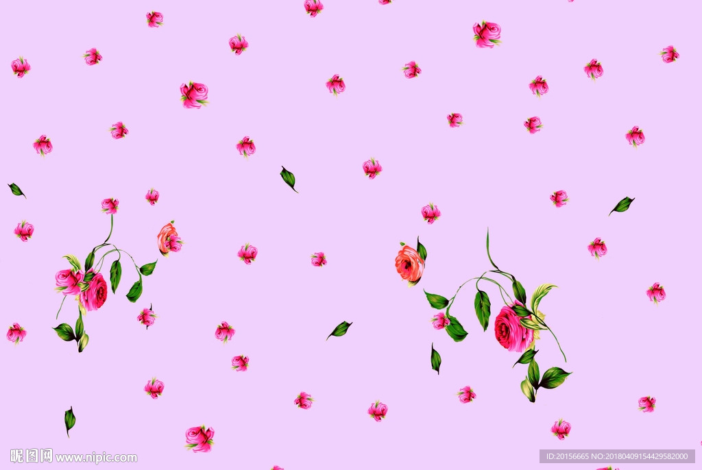 玫瑰花 小花