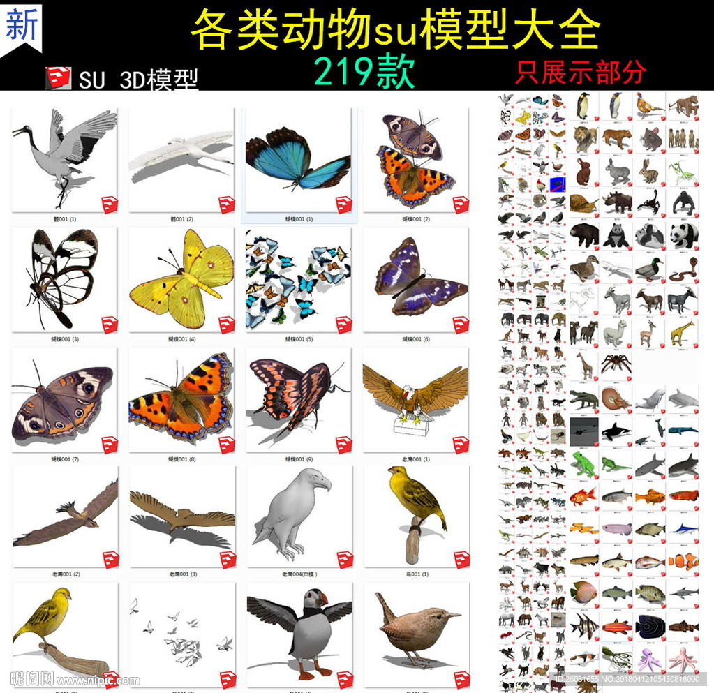 各類動(dòng)物模型