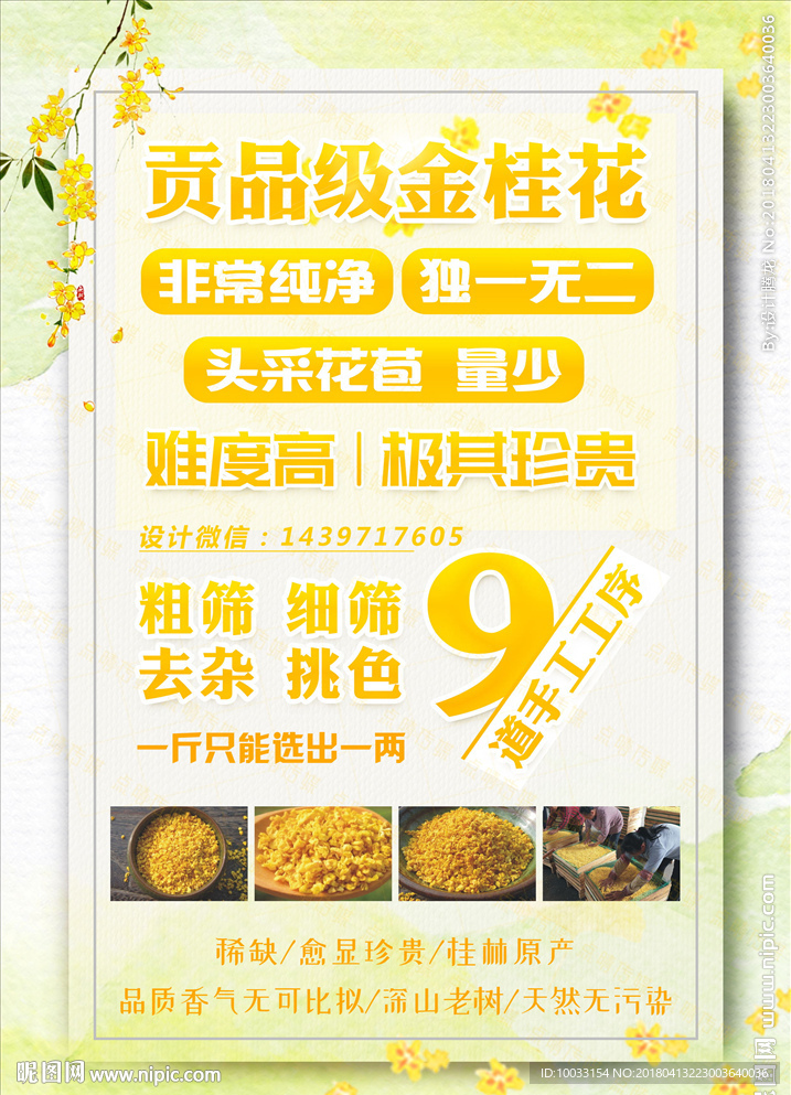 桂花 宣傳單 DM單  品名單