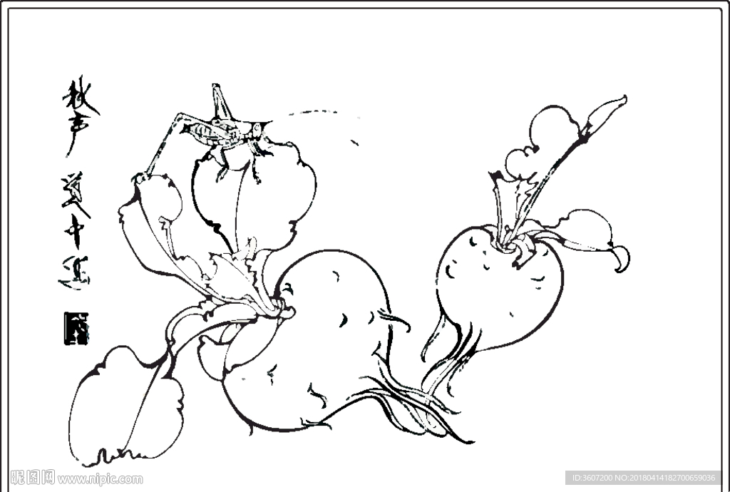 萝卜秋声线描 萝卜秋声白描 萝图片