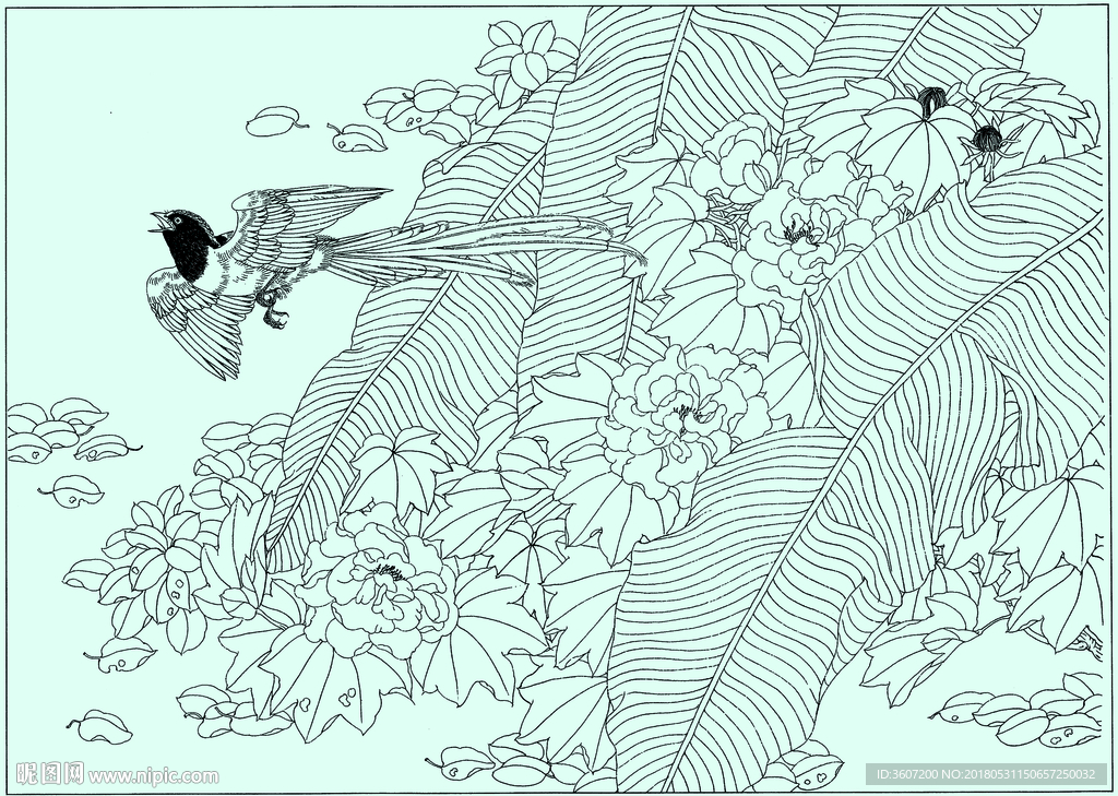 喜鹊线描 喜鹊白描 喜鹊素描设计图__绘画书法_文化艺术_设计图库_昵