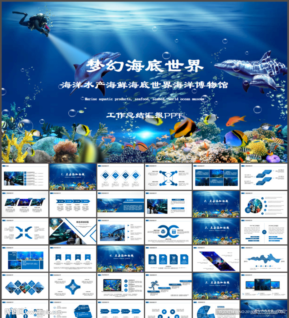 海底世界ppt