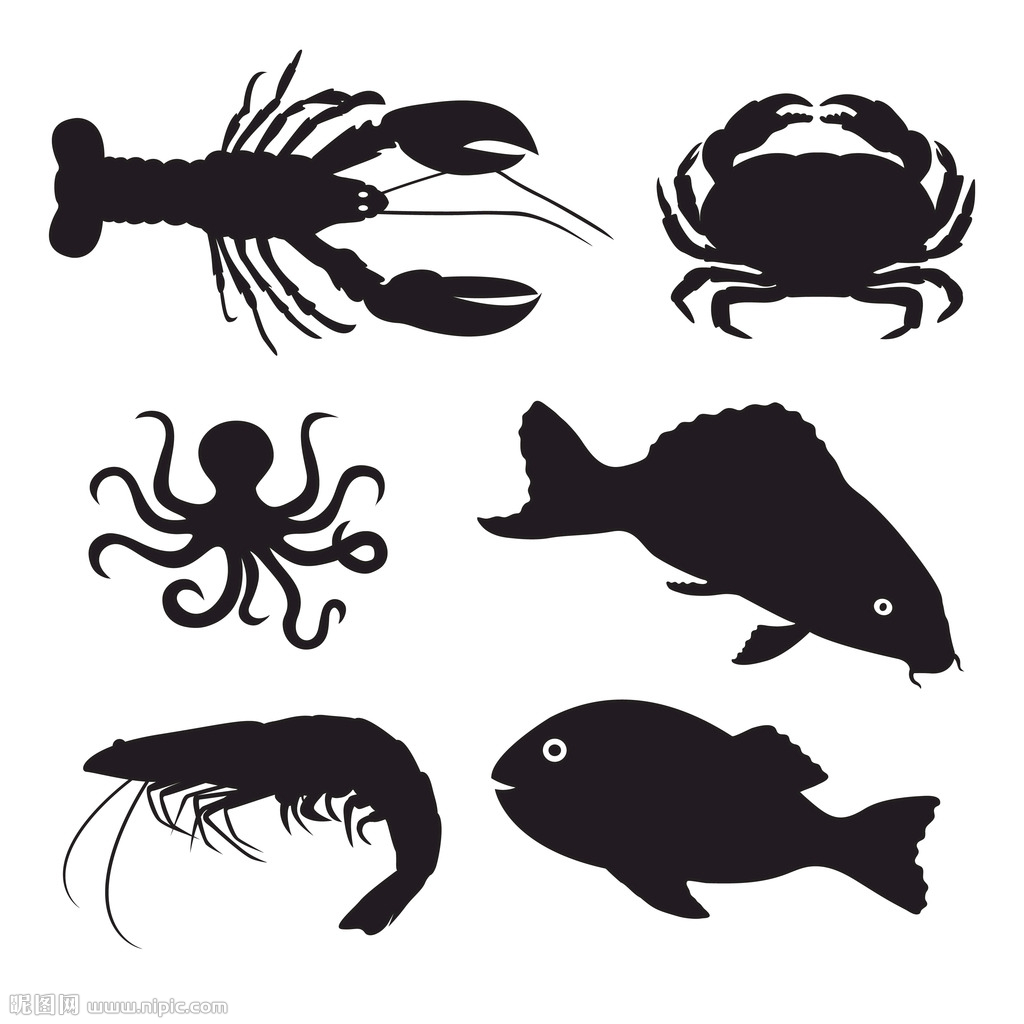手绘海洋生物剪影轮廓插画设计