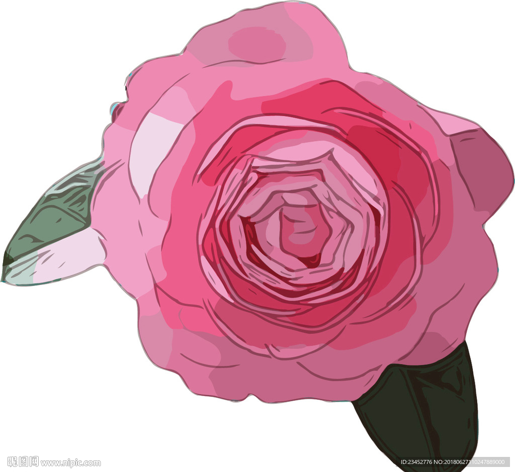 粉红玫瑰 矢量手绘素材