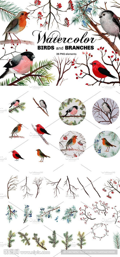 手绘水彩鸟和树枝装饰