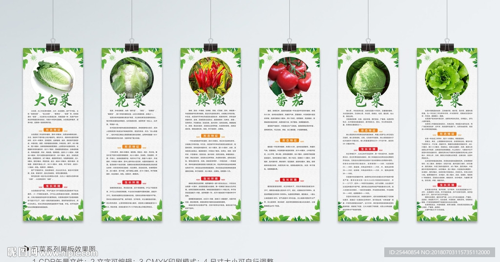 蔬菜展板系列