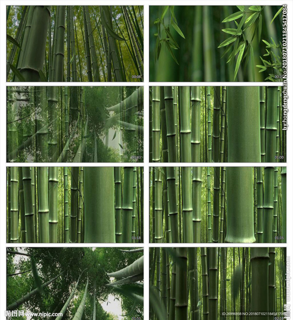 中國(guó)風(fēng)青花瓷竹林循環(huán)動(dòng)畫