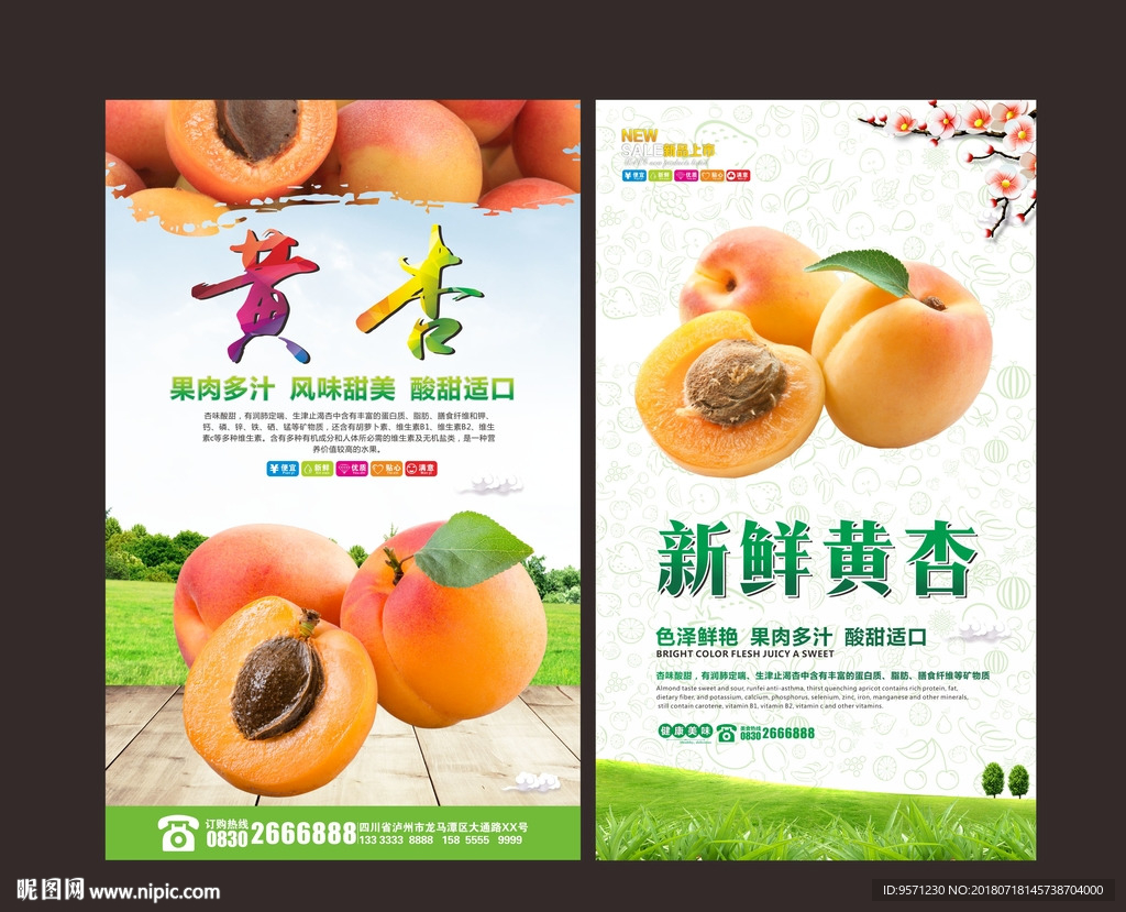 黃杏