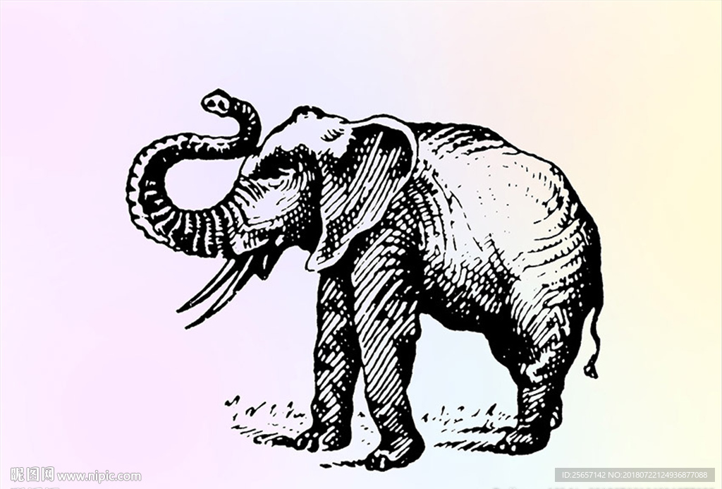 大象手绘图片