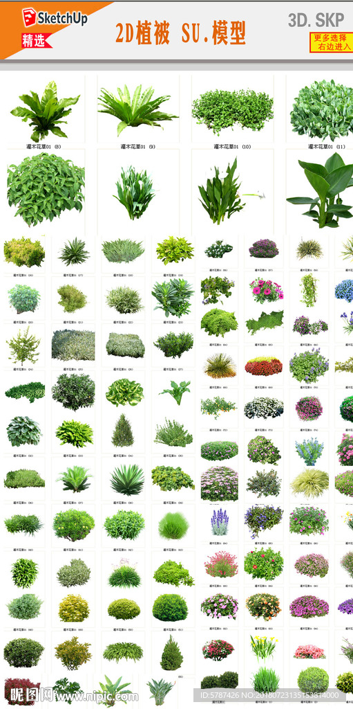 綠化帶植物SU模型