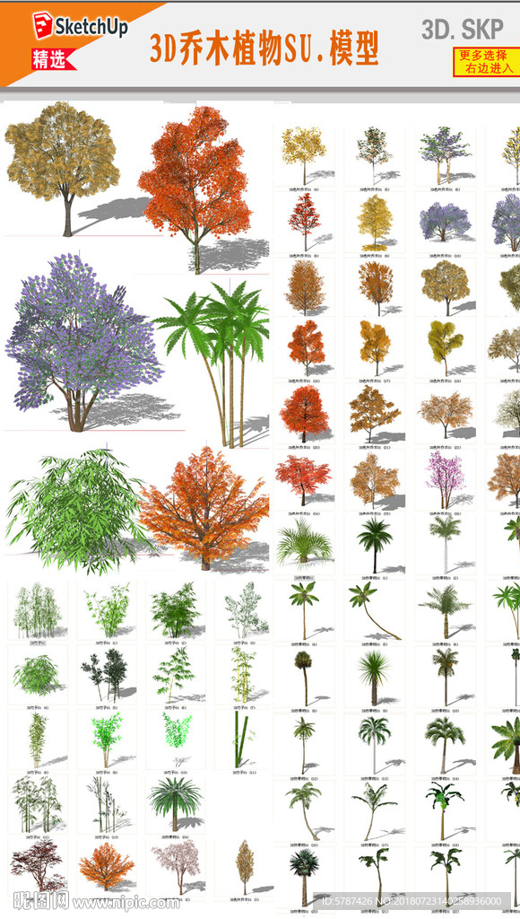 园林灌木植物模型