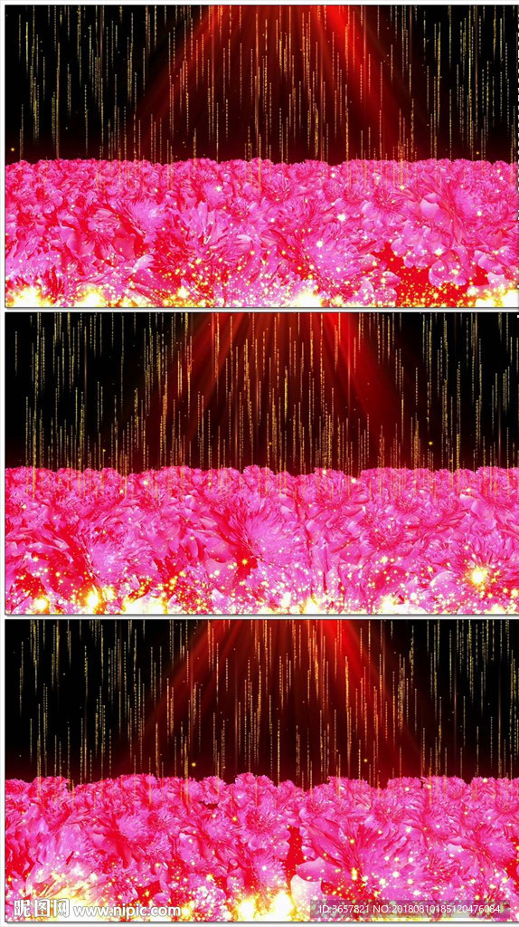 牡丹花粒子LED视频动态背景