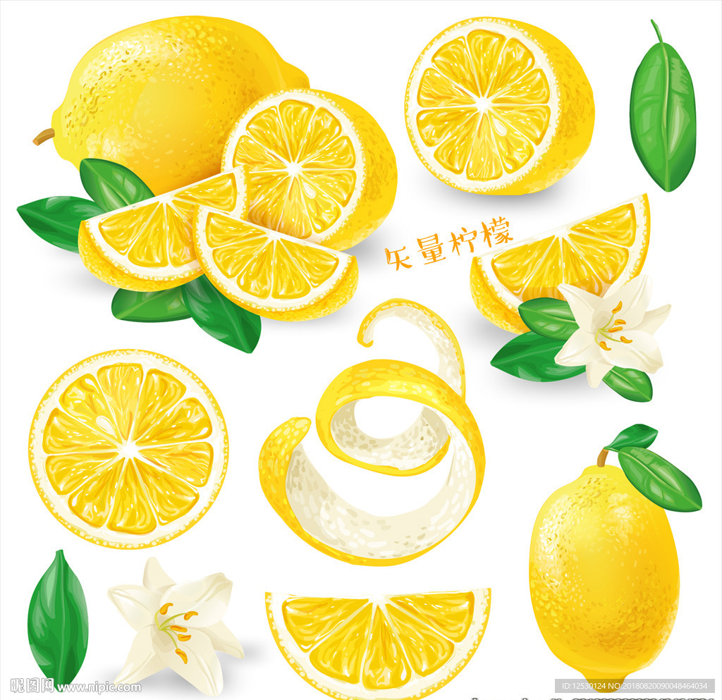 矢量柠檬水果橙子切开柠檬