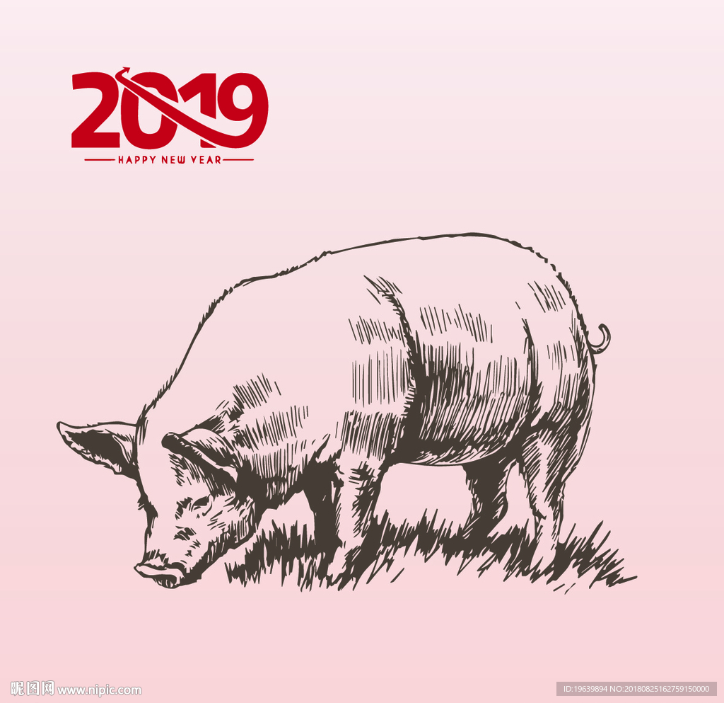 2019年猪年