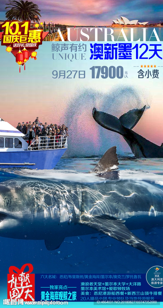 观鲸之旅