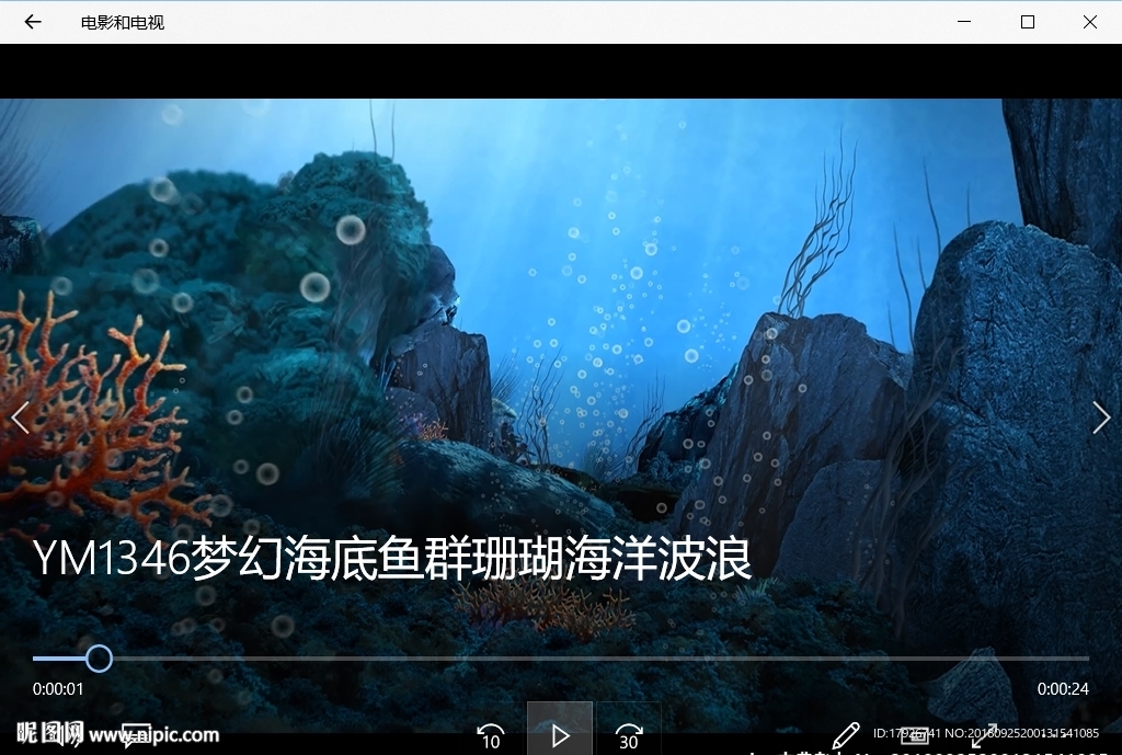 海底世界氣泡珊瑚魚