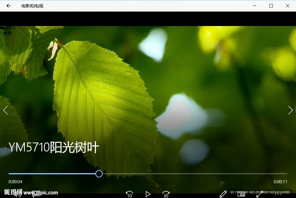 清晨陽光森林自然風景植物花卉生