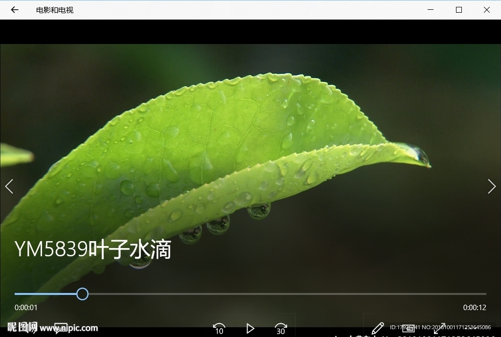 清晨葉子水滴清新綠色陽(yáng)光