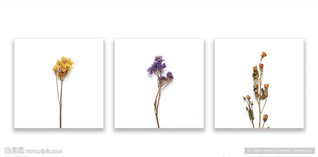 清新写实植物花卉装饰画