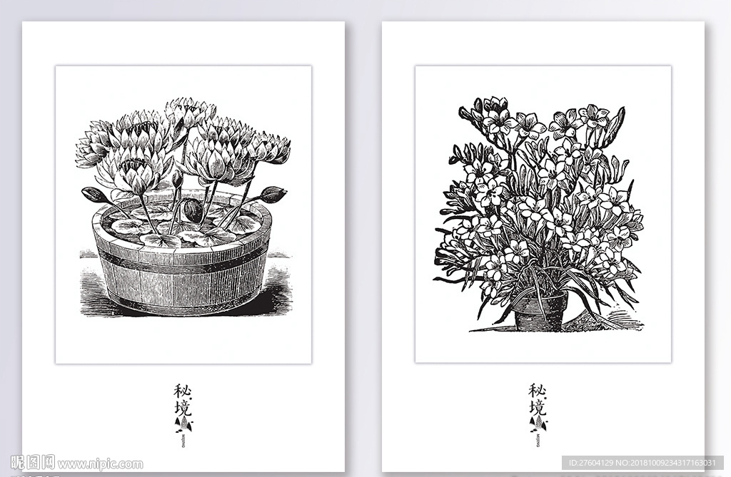 简约线条植物装饰画