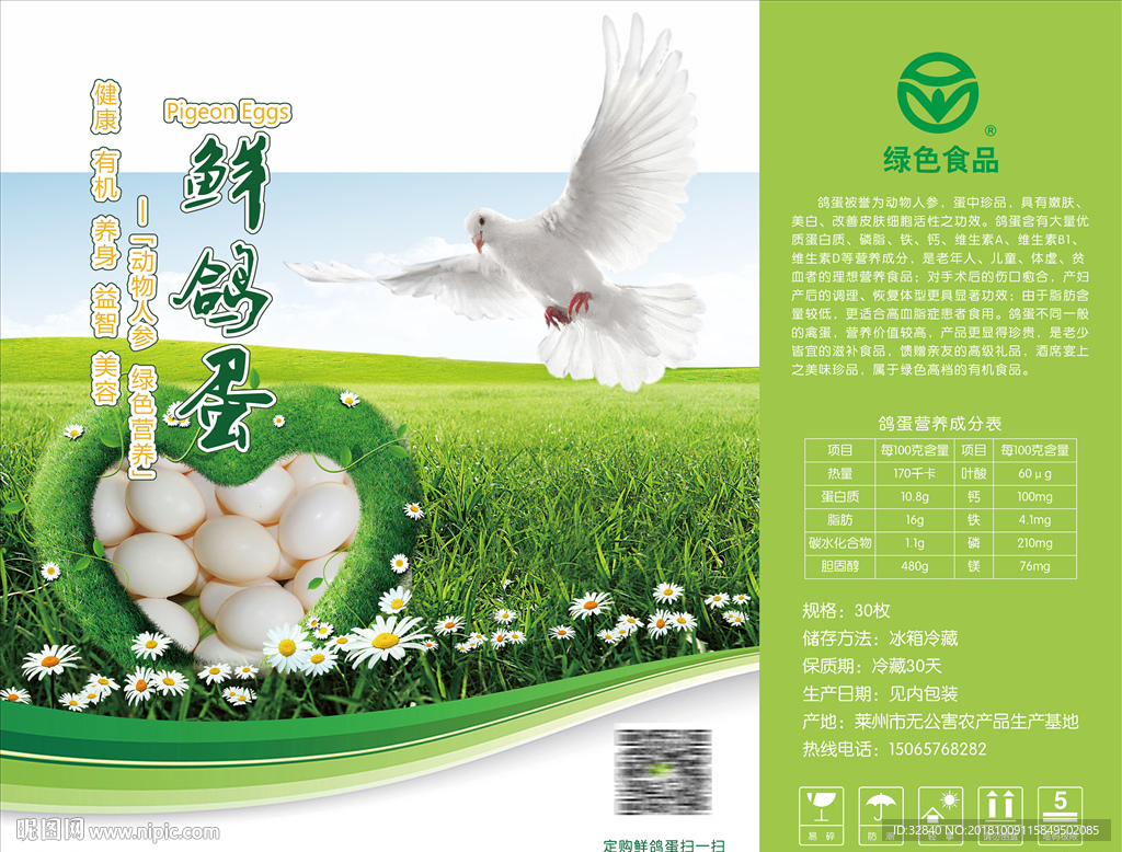 鸽子蛋鸡蛋包装盒绿色食品
